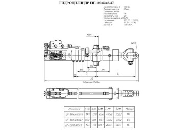 ЦГ-100.63х975.47