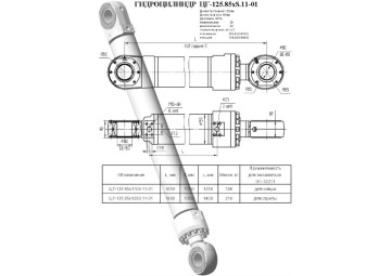 ЦГ-125.85х1100.11-01