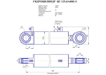 ЦГ-125.63х800.11