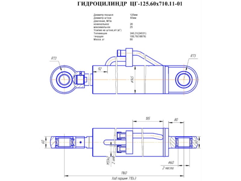 ЦГ-125.60х710.11-01